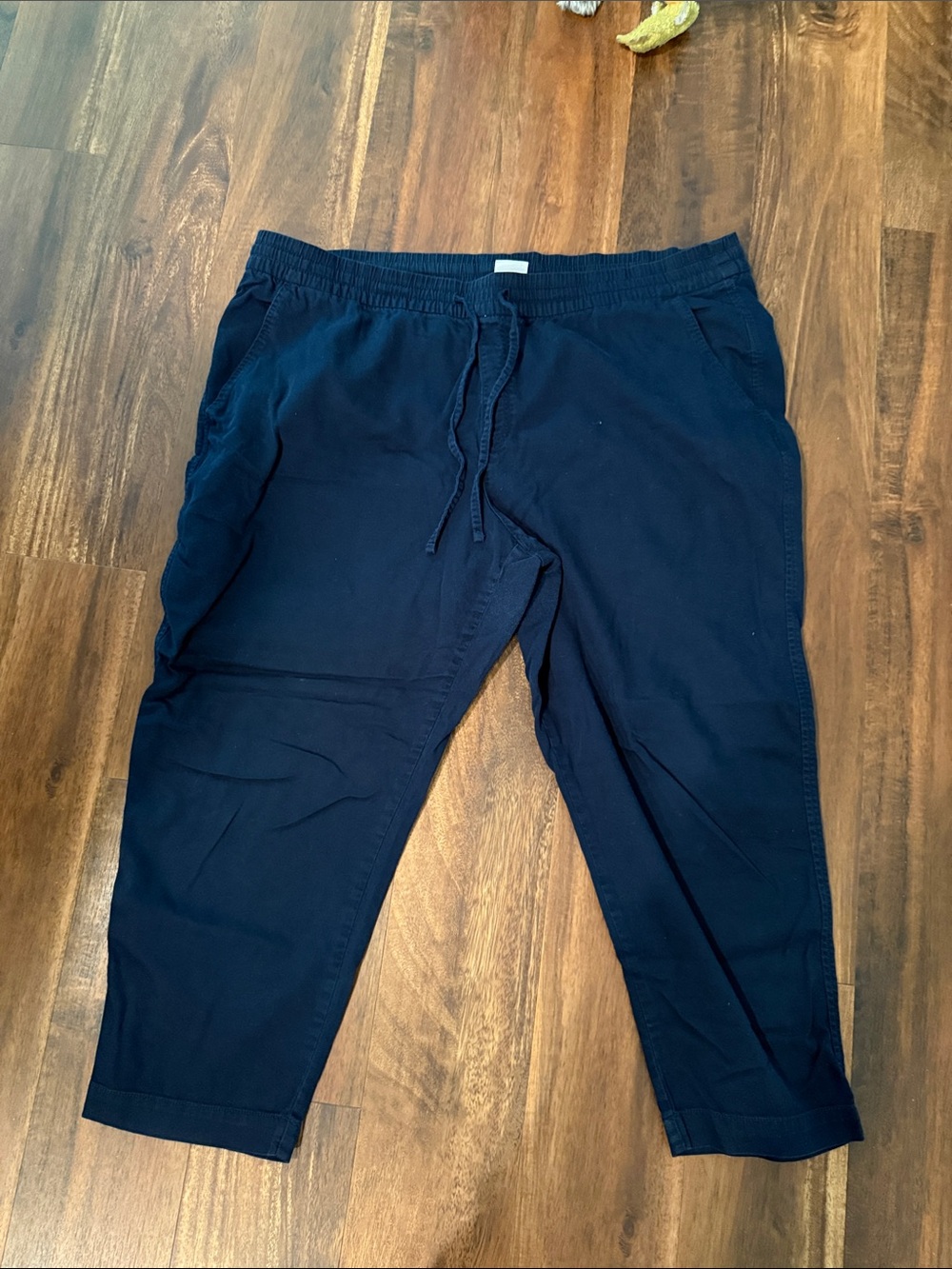 GAP Men's Dark Navy Drawstring Jogger Pants